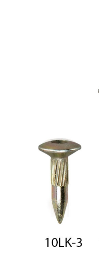 Vermarkungsbolzen, Linsenkopf, Zentrierung, L 30mm