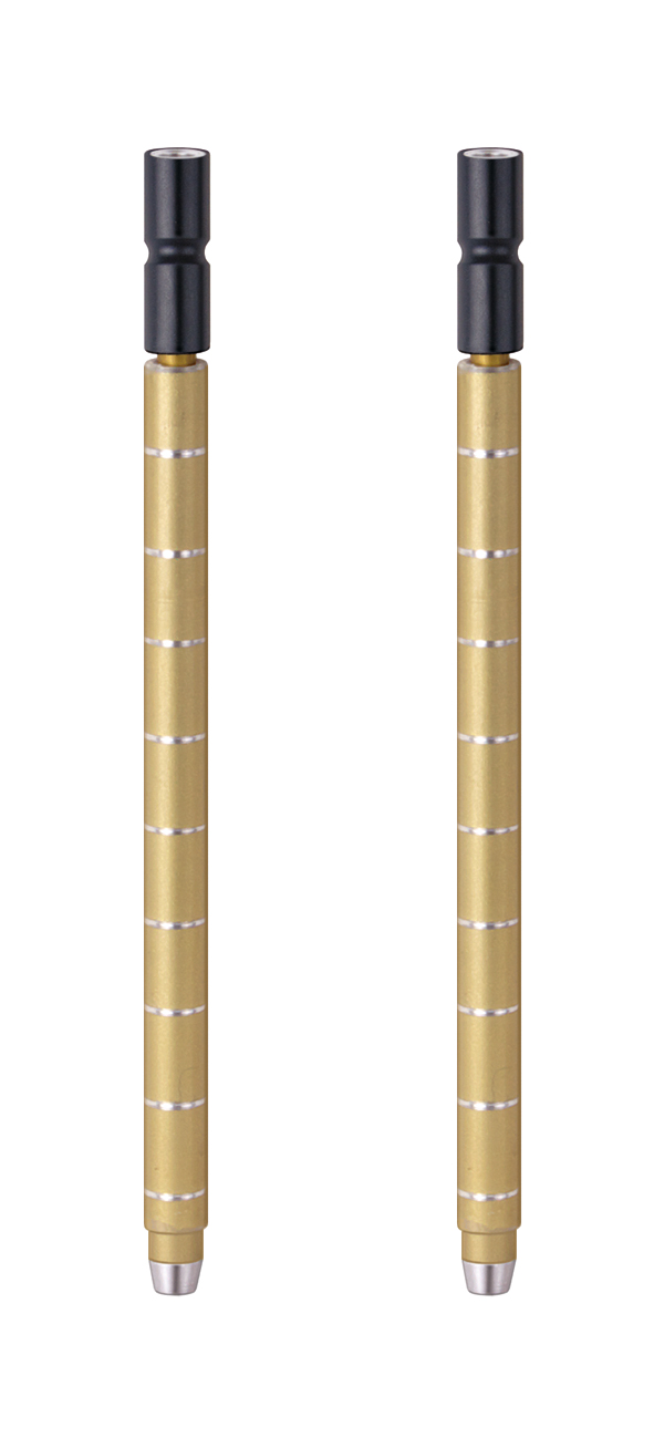 M21-100 Tiefenmesselektrodenpaar