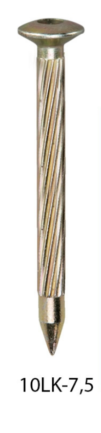 Vermarkungsbolzen, Linsenkopf, Zentrierung, L 75mm